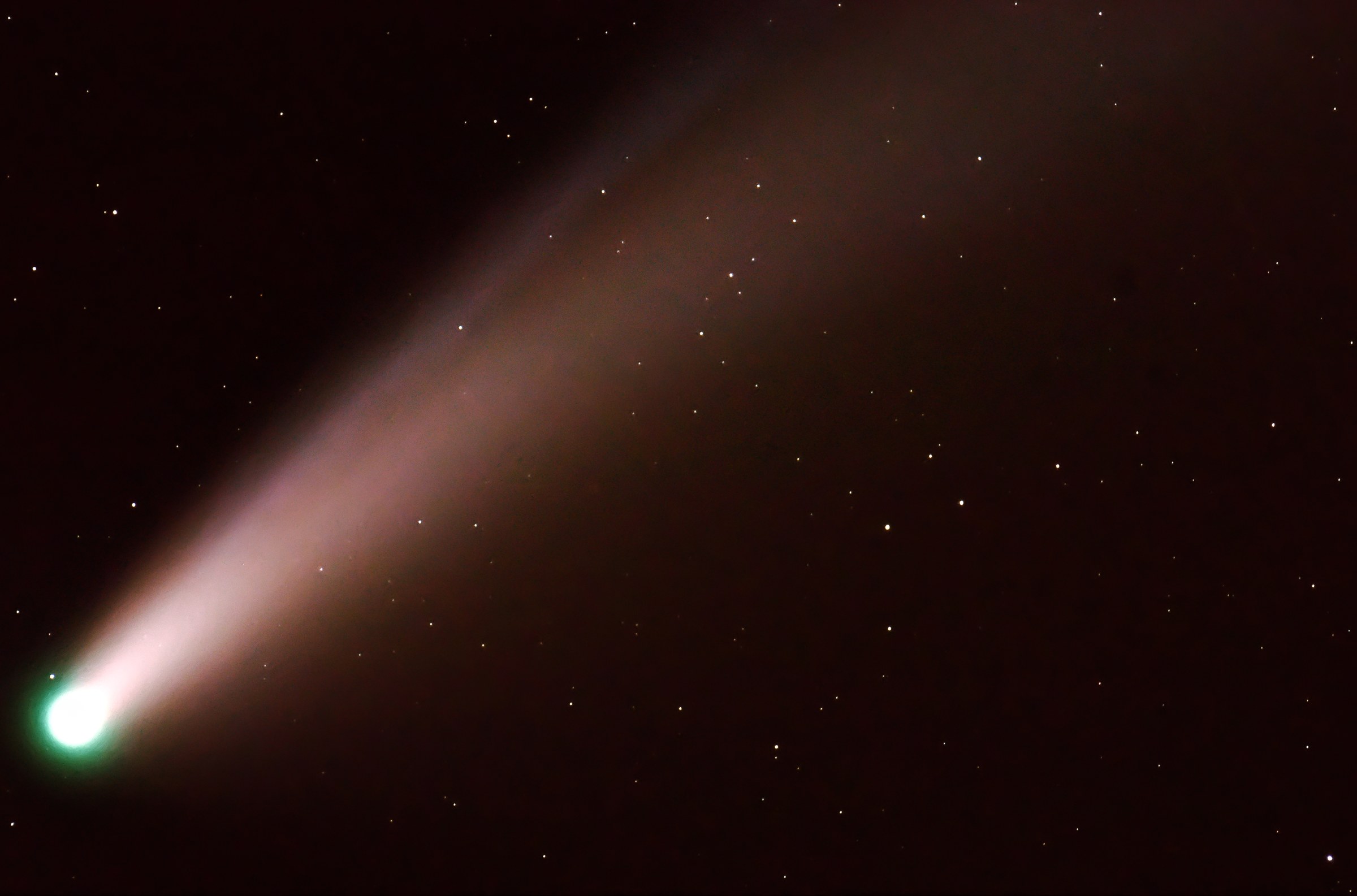 NEOWISE Comet