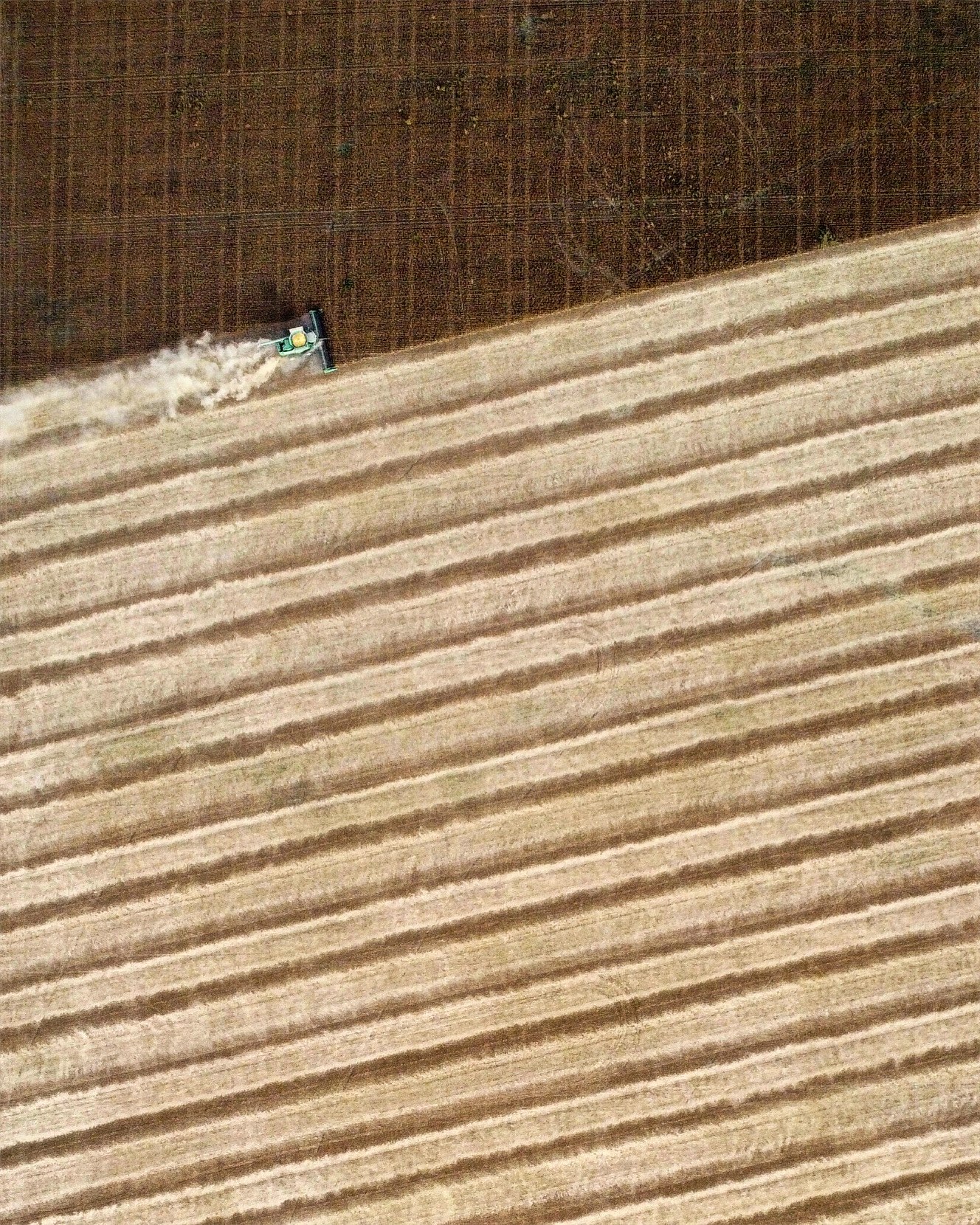 Harvest Lines
