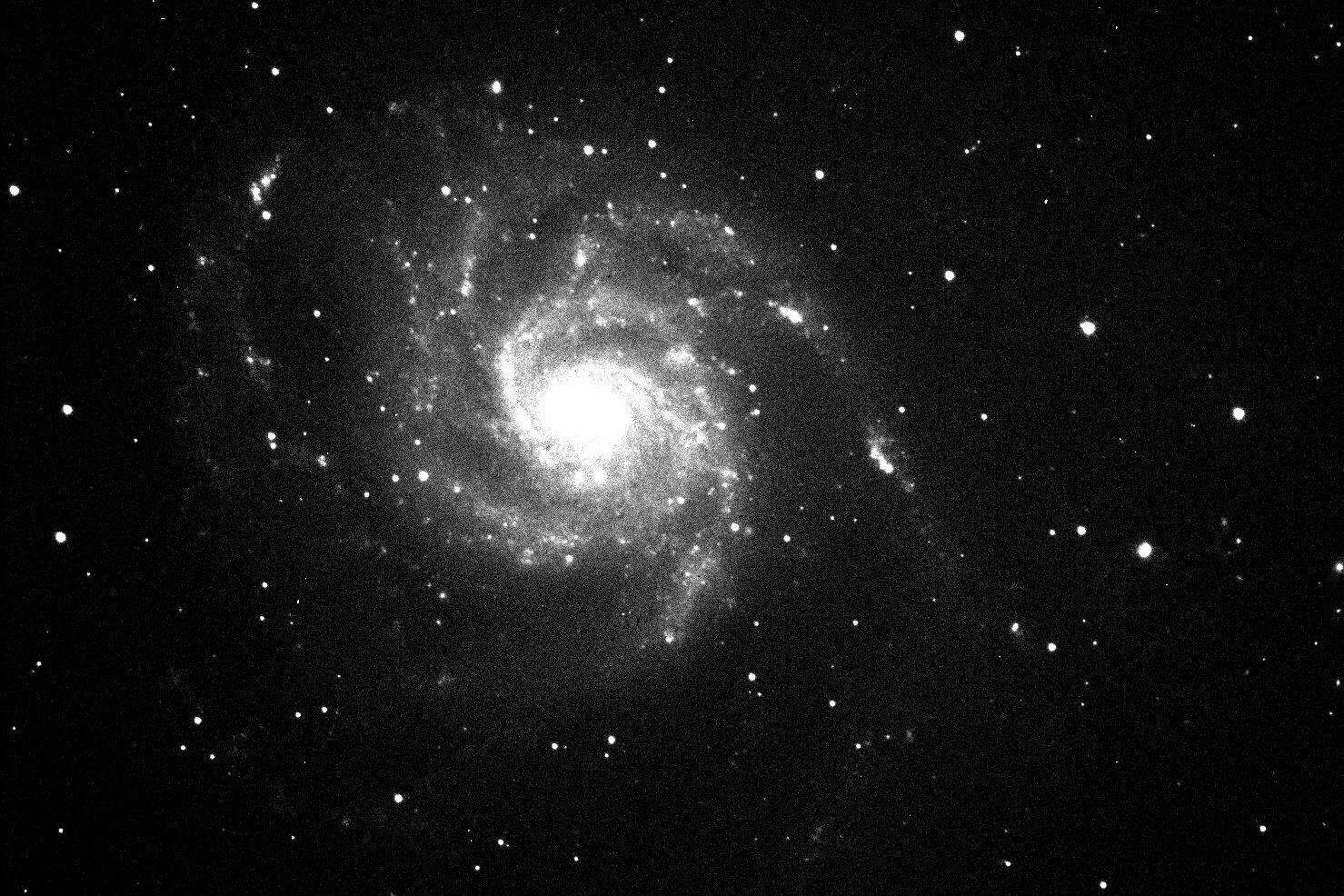 M101 Supernova Gif
