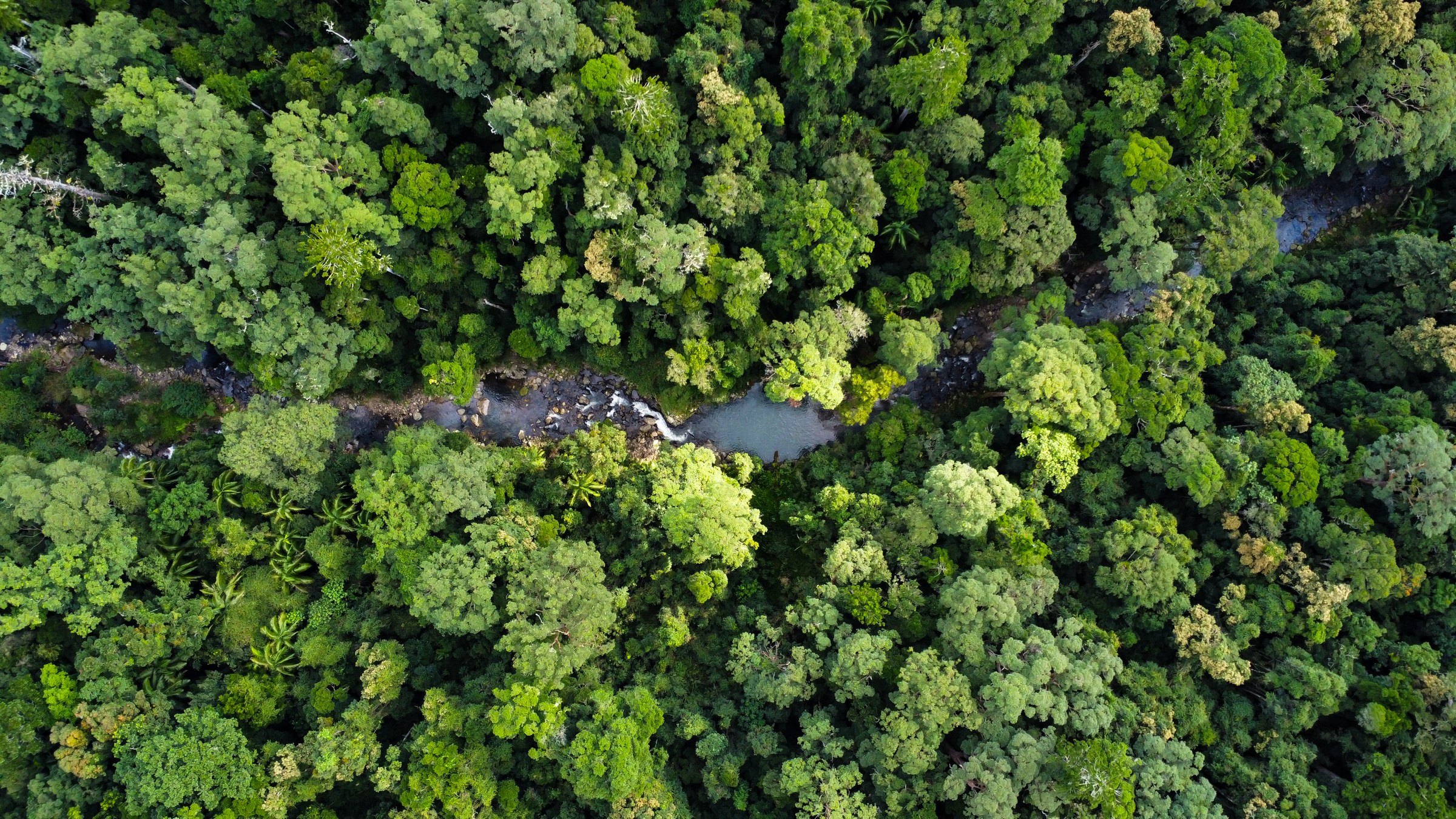 Australian River Valley