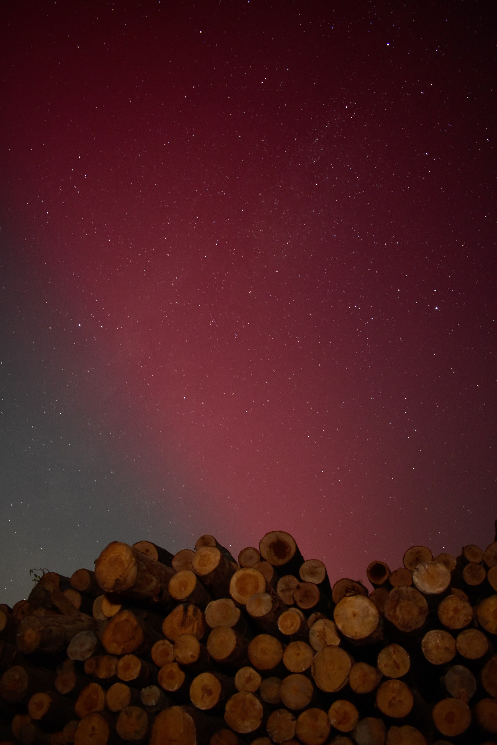 Lumber Aurora